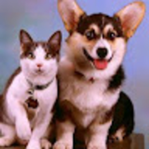 Meet your Posher, Ellen - Picture 1 of 1